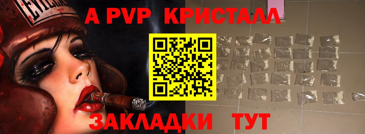 A PVP СК КРИС Сокол