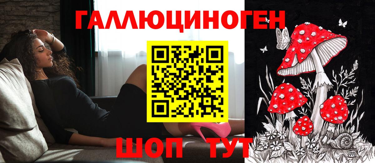 Сокол  Псилоцибиновые грибы MAGIC MUSHROOMS  купить   Псилоцибиновые грибы мухоморы  Вход с VPN 